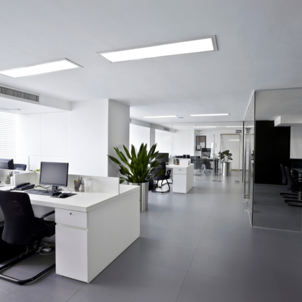 Top Office Tenant Improvement Contractors in Los Angeles: Transforming Your Space